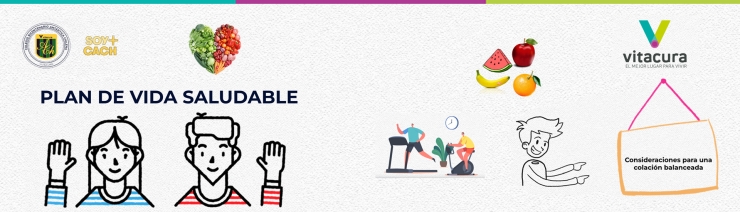 Plan Vida Saludable - Consejos para retomar las colaciones saludables en el regreso a clases.