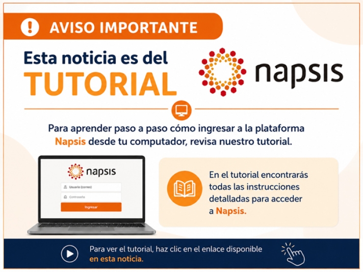 Tutorial plataforma Napsis
