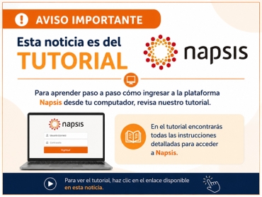 Tutorial plataforma Napsis
