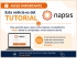 Tutorial plataforma Napsis